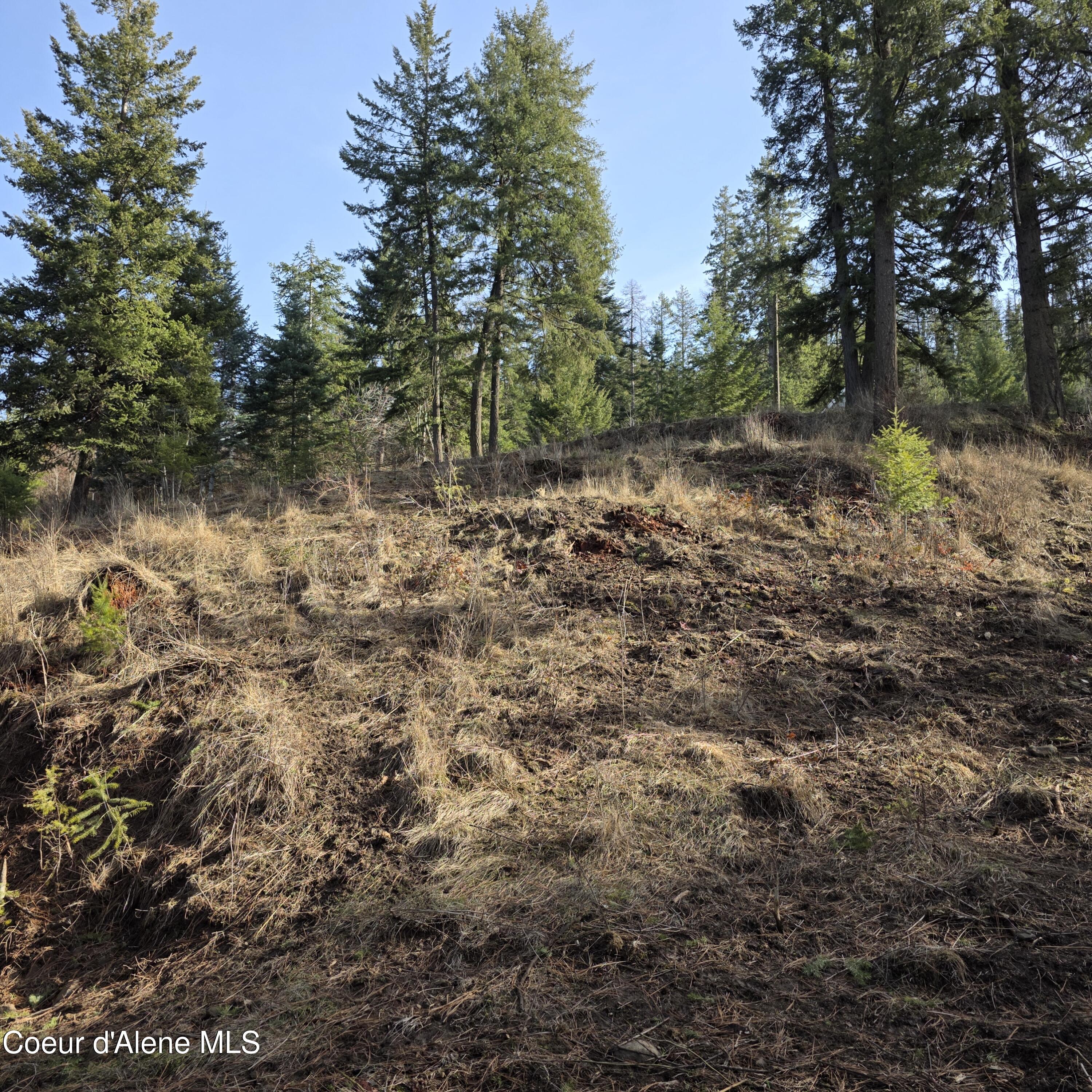 Nka Nka Garfeild Harrison, ID 83833 - Photo 25 of 36 20260210_130410