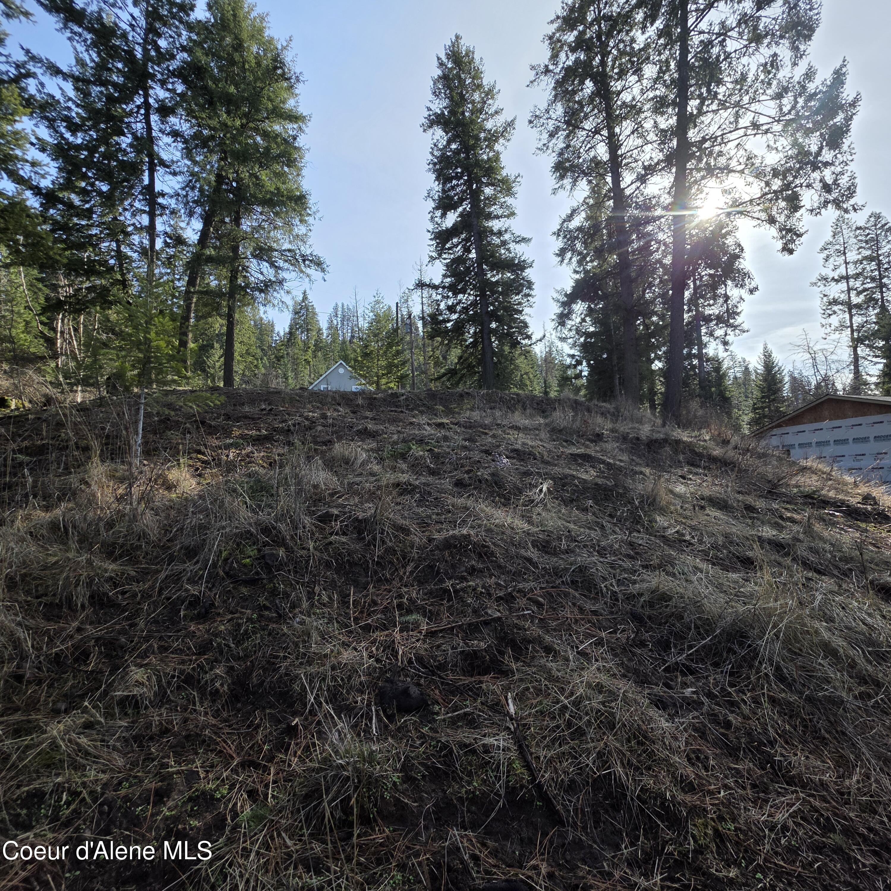 Nka Nka Garfeild Harrison, ID 83833 - Photo 27 of 36 20260210_130453