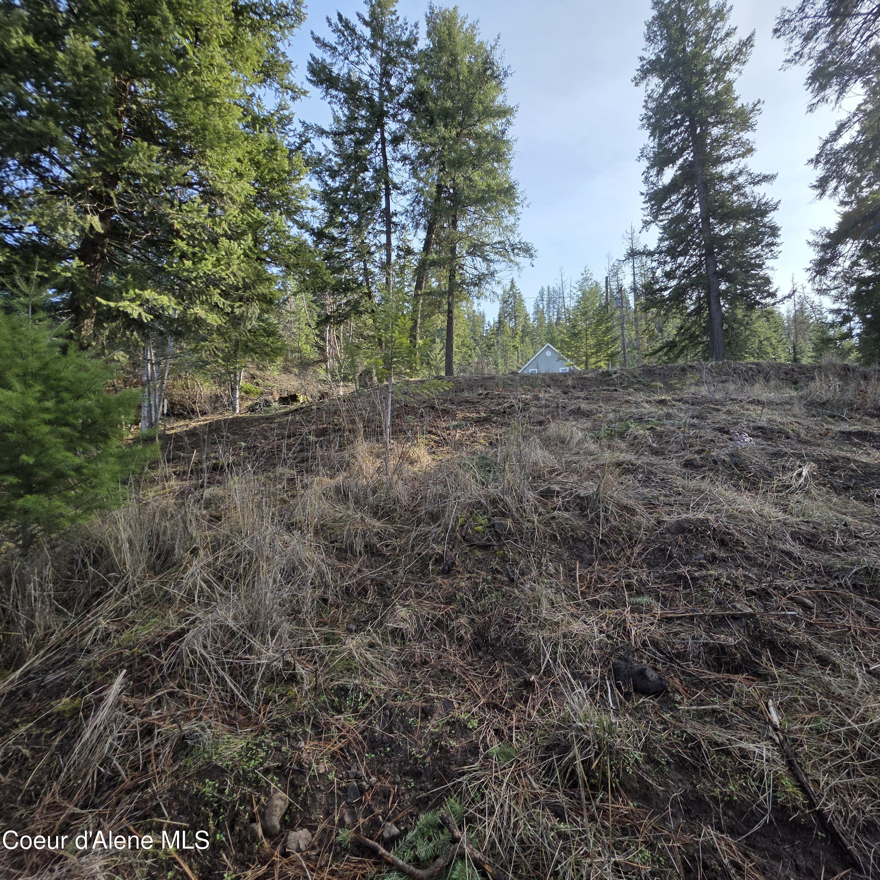 Nka Nka Garfeild Harrison, ID 83833 - Photo 28 of 36 20260210_130457 - Copy