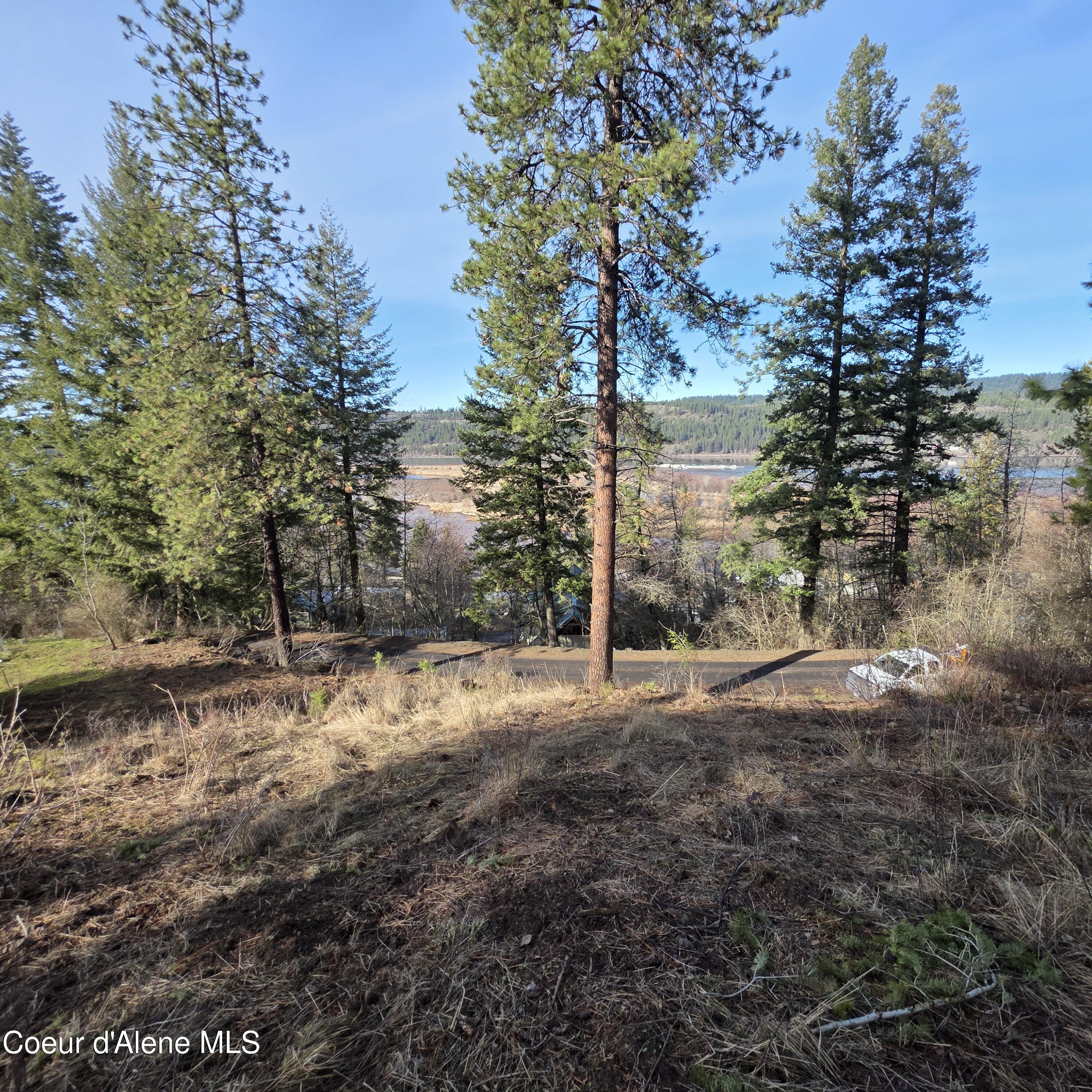 Nka Nka Garfeild Harrison, ID 83833 - Photo 30 of 36 20260210_130621