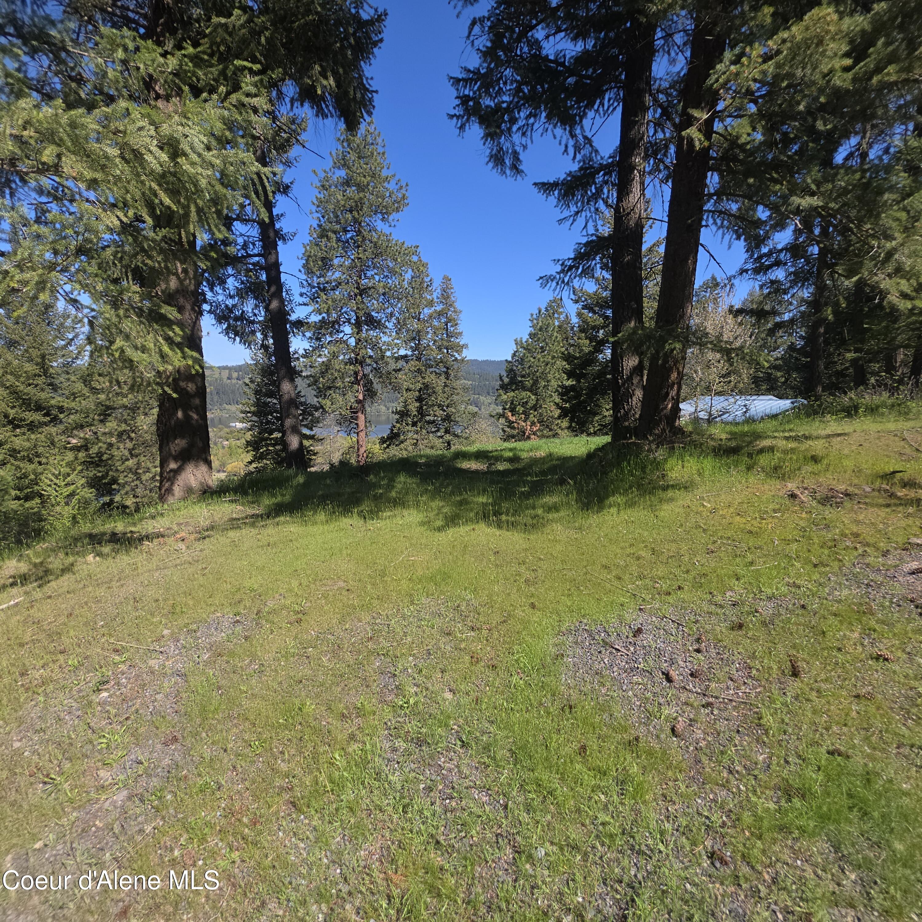 Nka Nka Garfeild Harrison, ID 83833 - Photo 3 of 36 20260501_104040
