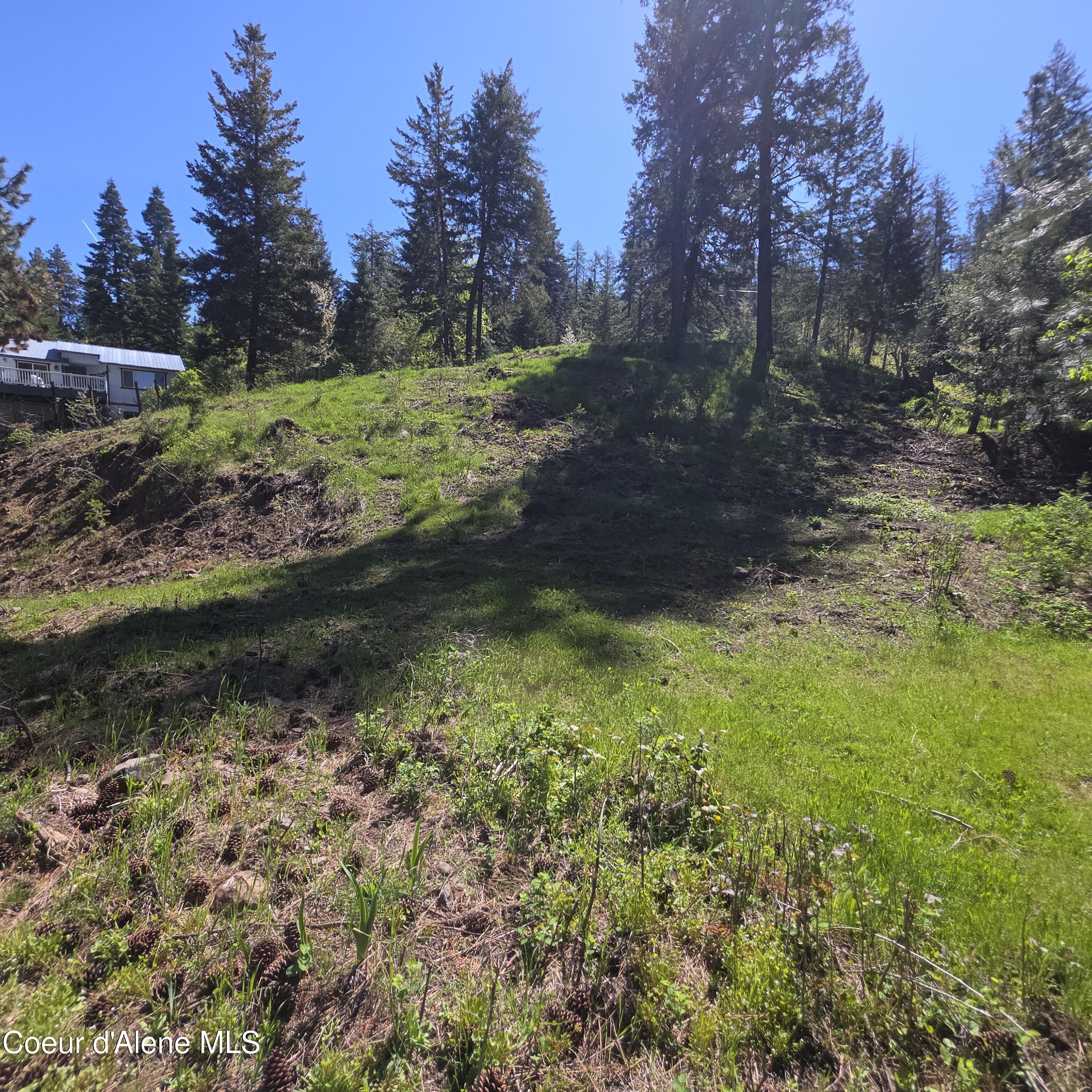 Nka Nka Garfeild Harrison, ID 83833 - Photo 8 of 36 20260501_110815