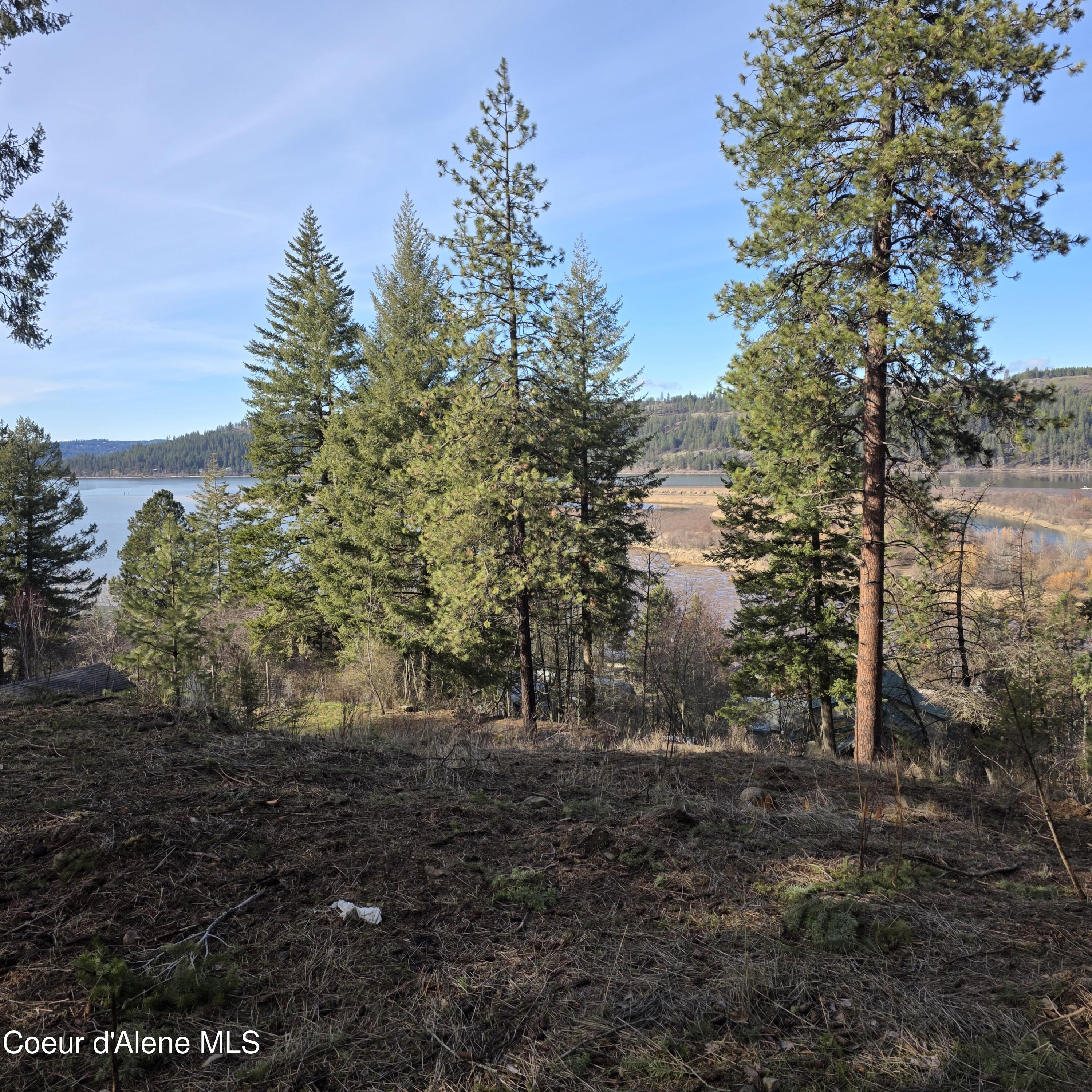 Nka Nka Garfeild Harrison, ID 83833 - Photo 10 of 36 20260210_125507
