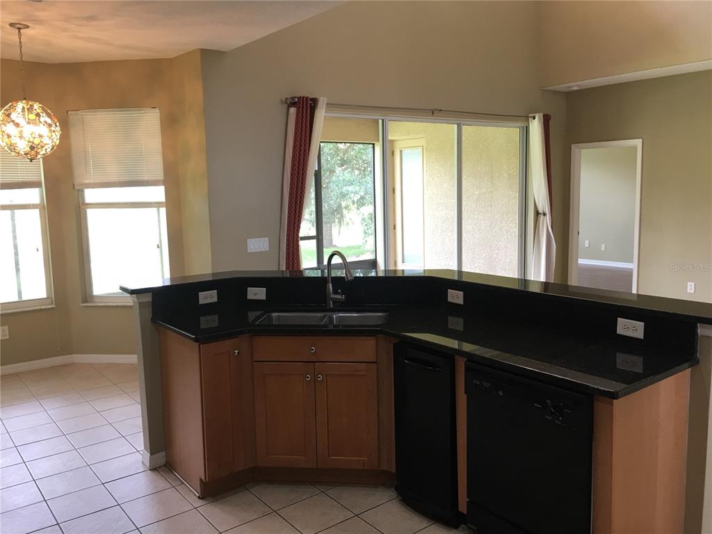 18047 Java Isle Drive Tampa, FL 33647 - Photo 6 of 21 a kitchen with a sink and a window