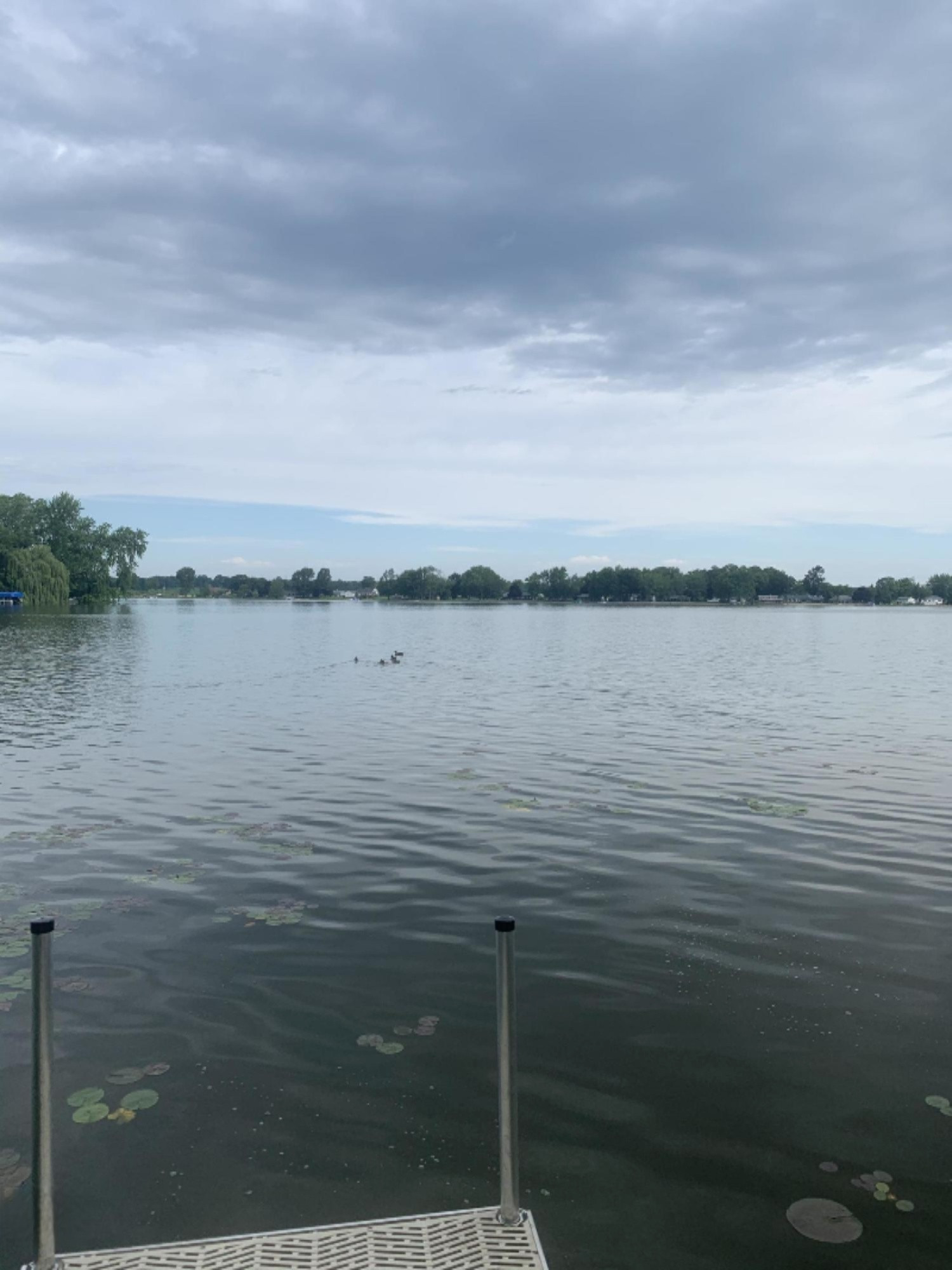 335 Cove Road Bronson, MI 49028 - Photo 14 of 16 View