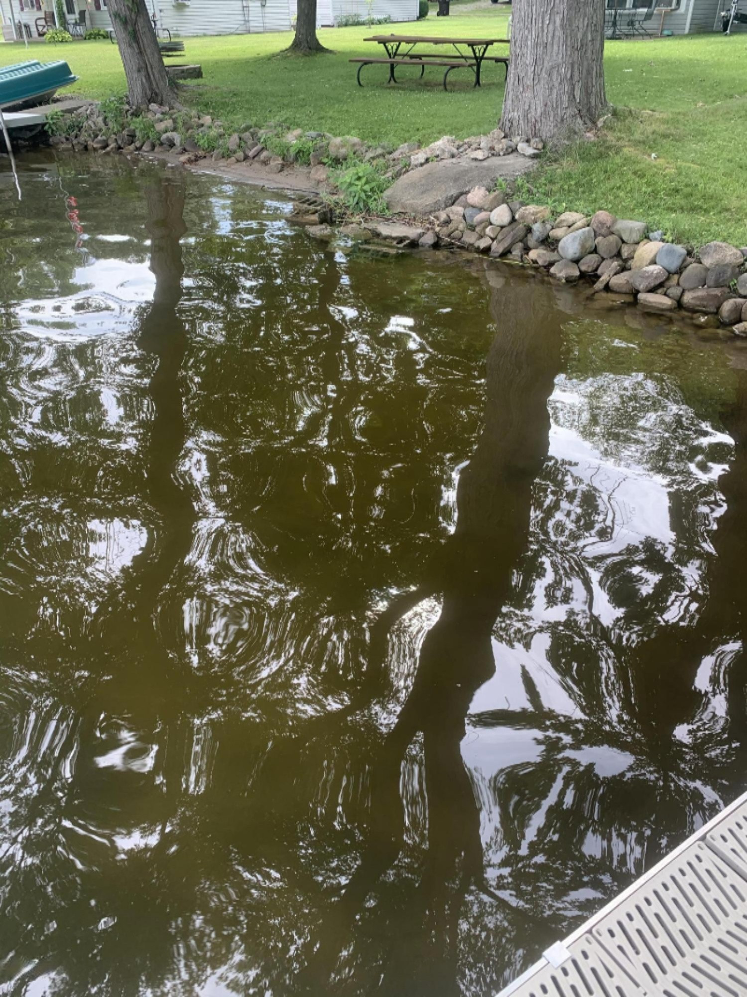 335 Cove Road Bronson, MI 49028 - Photo 15 of 16 Water