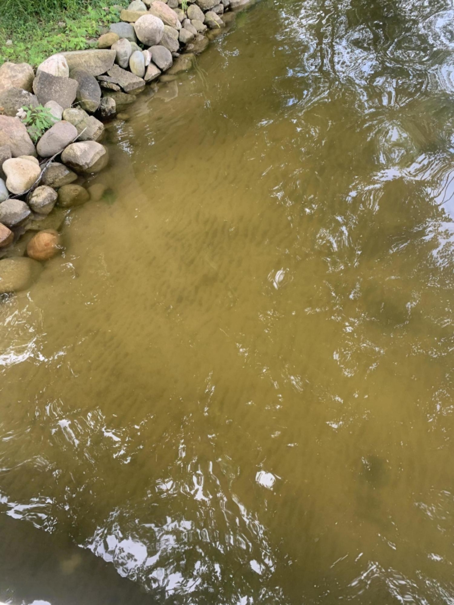 335 Cove Road Bronson, MI 49028 - Photo 16 of 16 Water