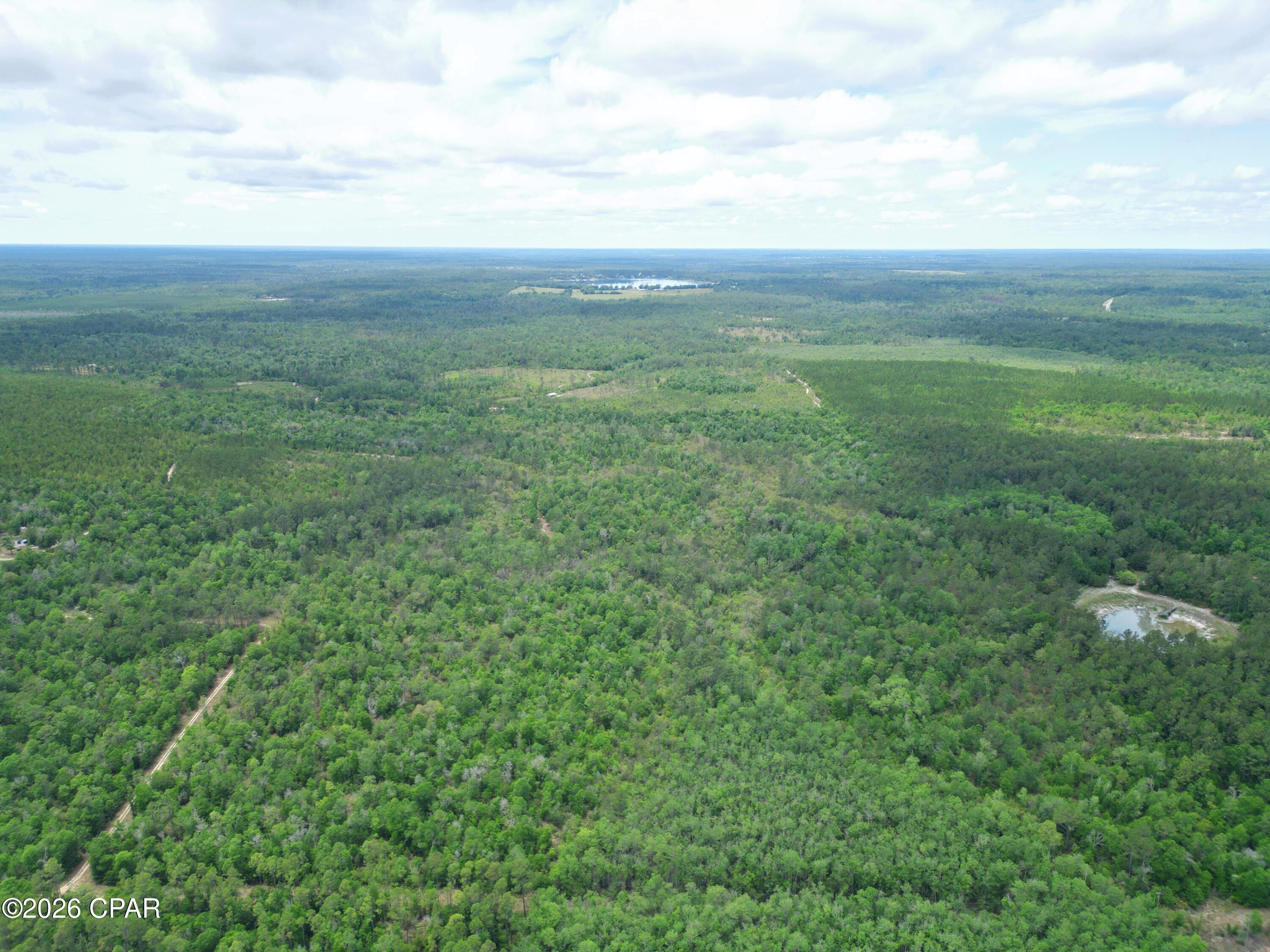 Tbd Pittman Hill Road Marianna, FL 32448 - Photo 5 of 8