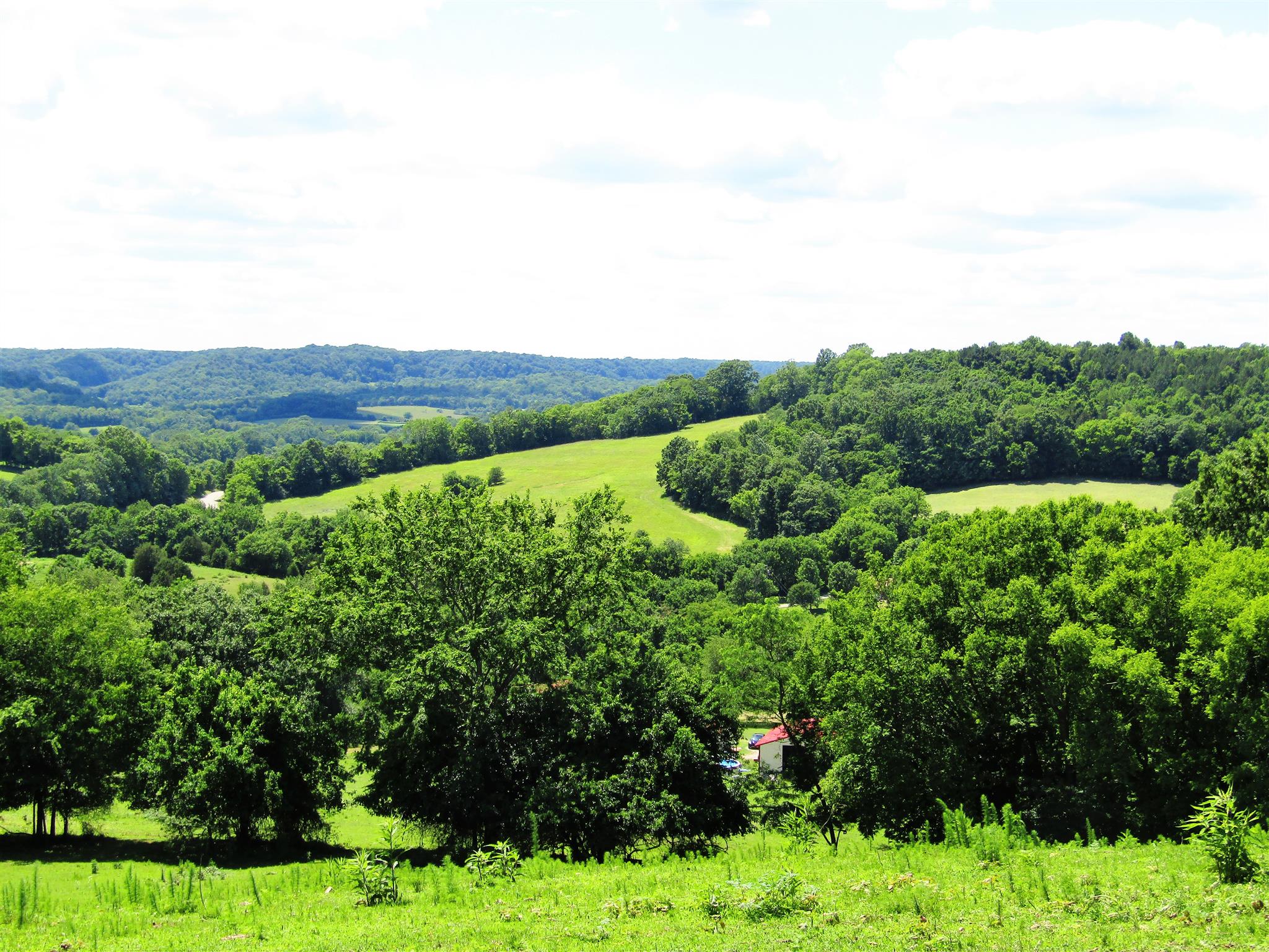 0 Old State Road Hampshire, TN 38461 - Photo 1 of 21 Absolutely gorgeous views in the heart of Hampshire TN