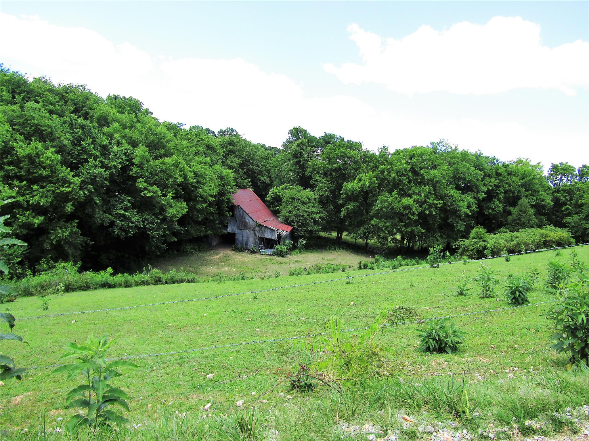 0 Old State Road Hampshire, TN 38461 - Photo 2 of 21 Old barn on property could be restored