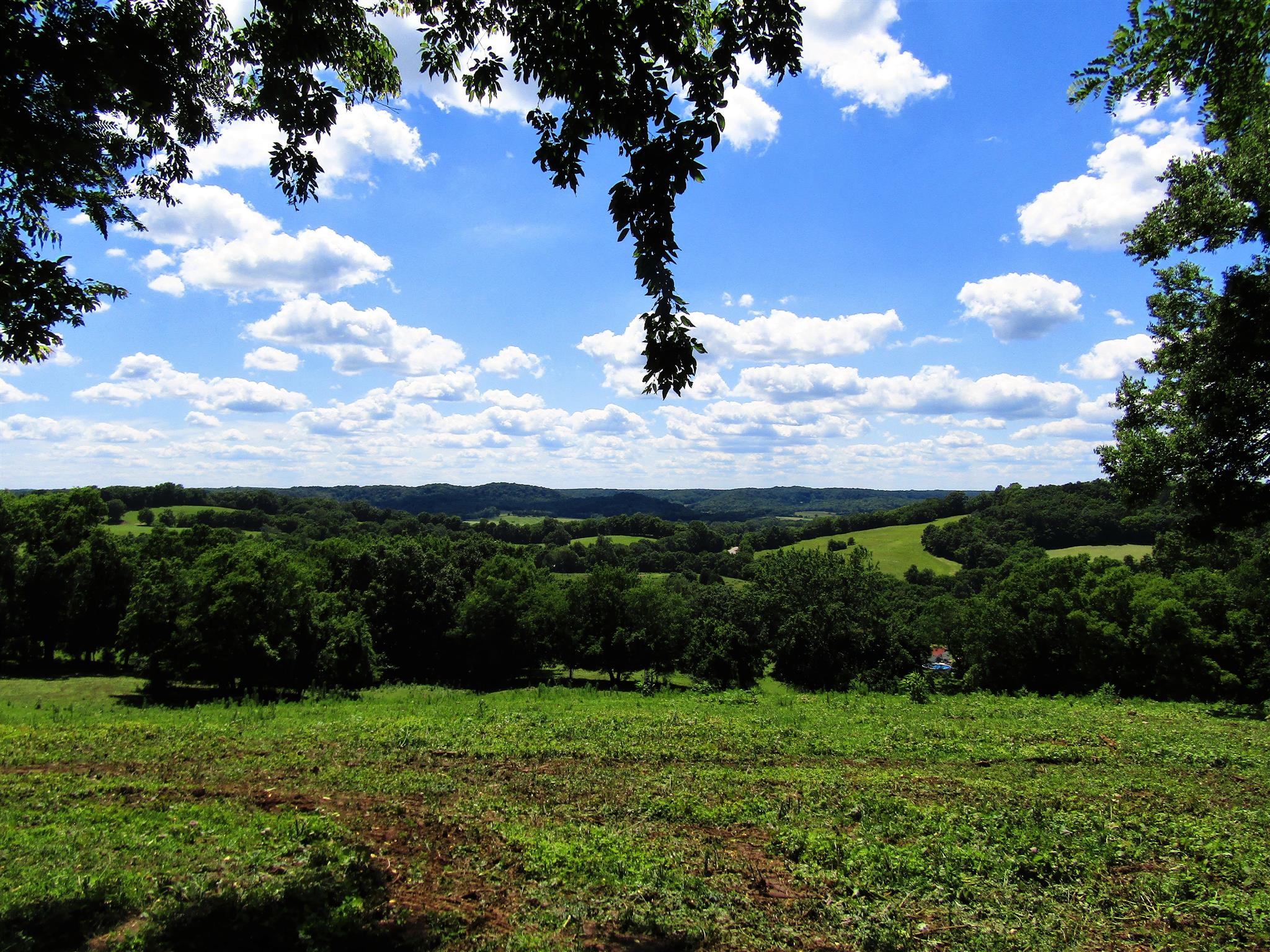 0 Old State Road Hampshire, TN 38461 - Photo 11 of 21 Gallery Image 11