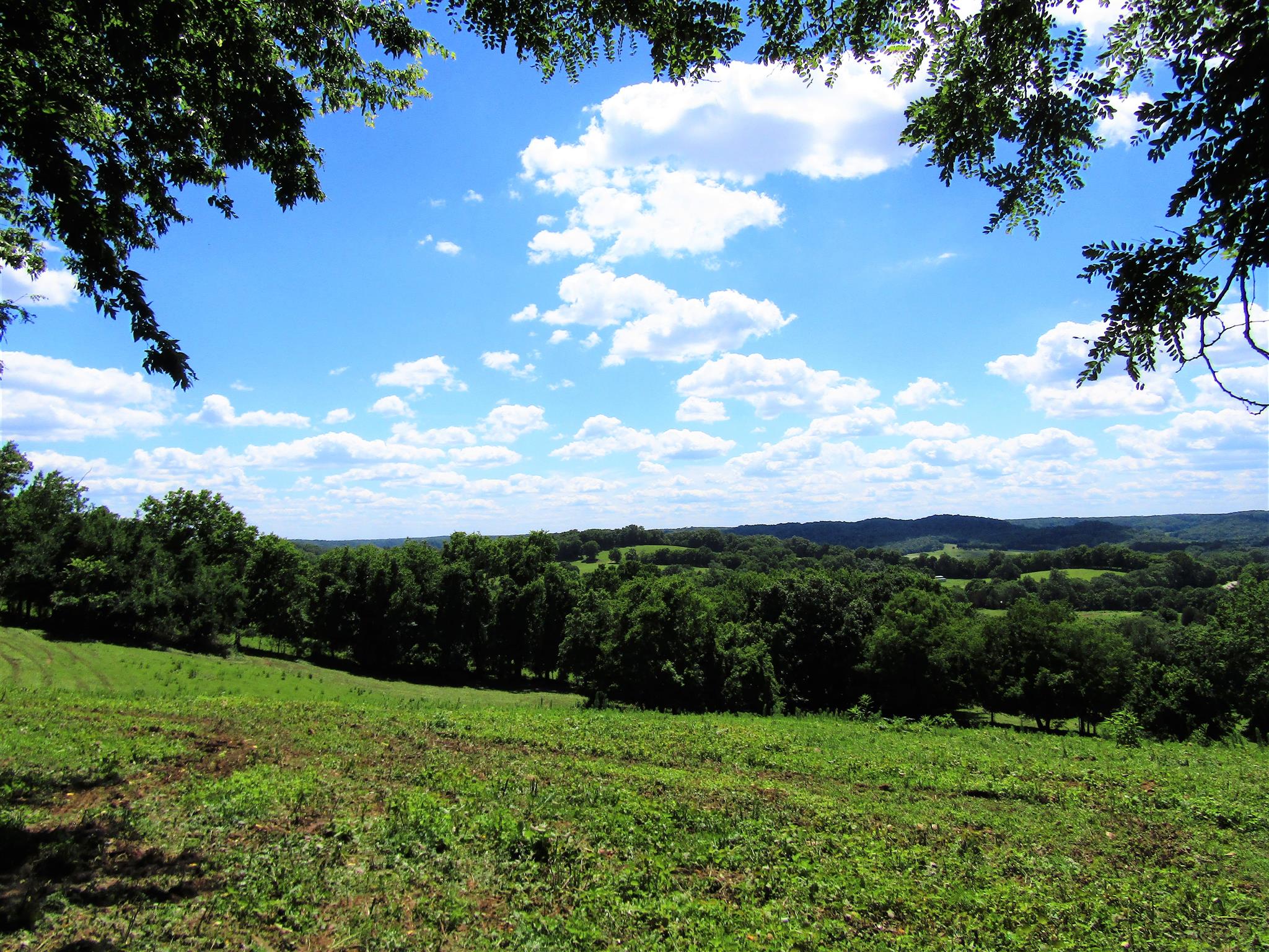 0 Old State Road Hampshire, TN 38461 - Photo 13 of 21 Breathtaking views on hilltop