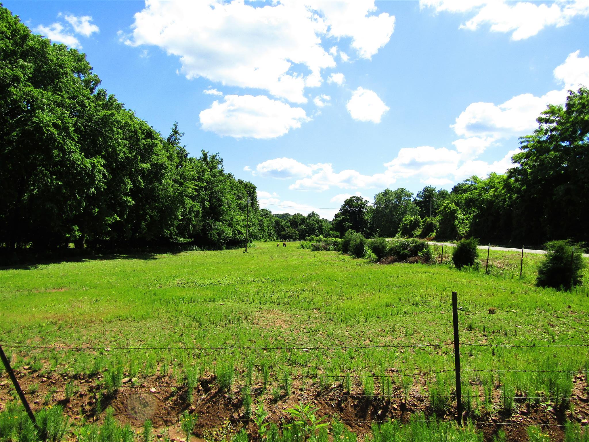 0 Old State Road Hampshire, TN 38461 - Photo 18 of 21 Beautiful property to own and build on