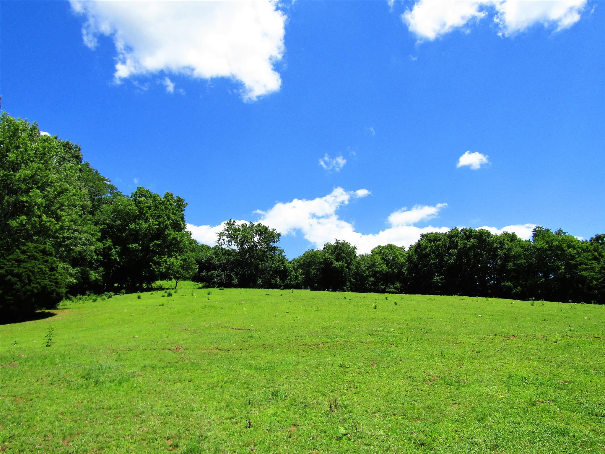 0 Old State Road Hampshire, TN 38461 - Photo 3 of 21 Beautiful top of hill buildsite with amazing views