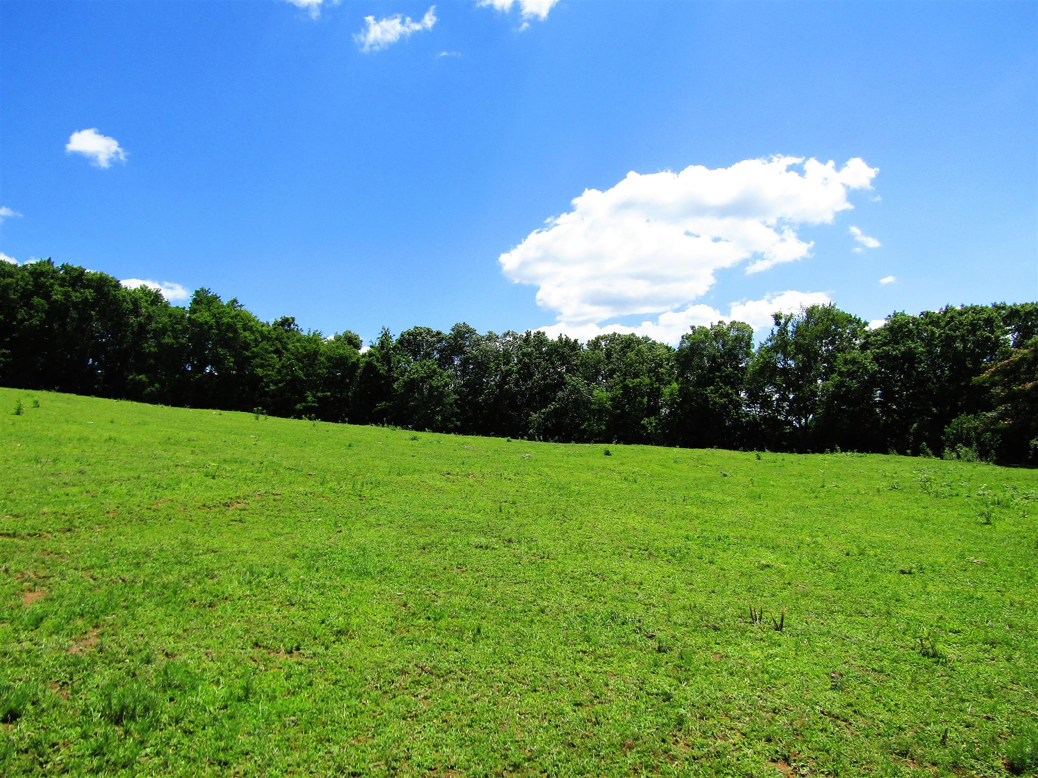 0 Old State Road Hampshire, TN 38461 - Photo 5 of 21 Rolling hills