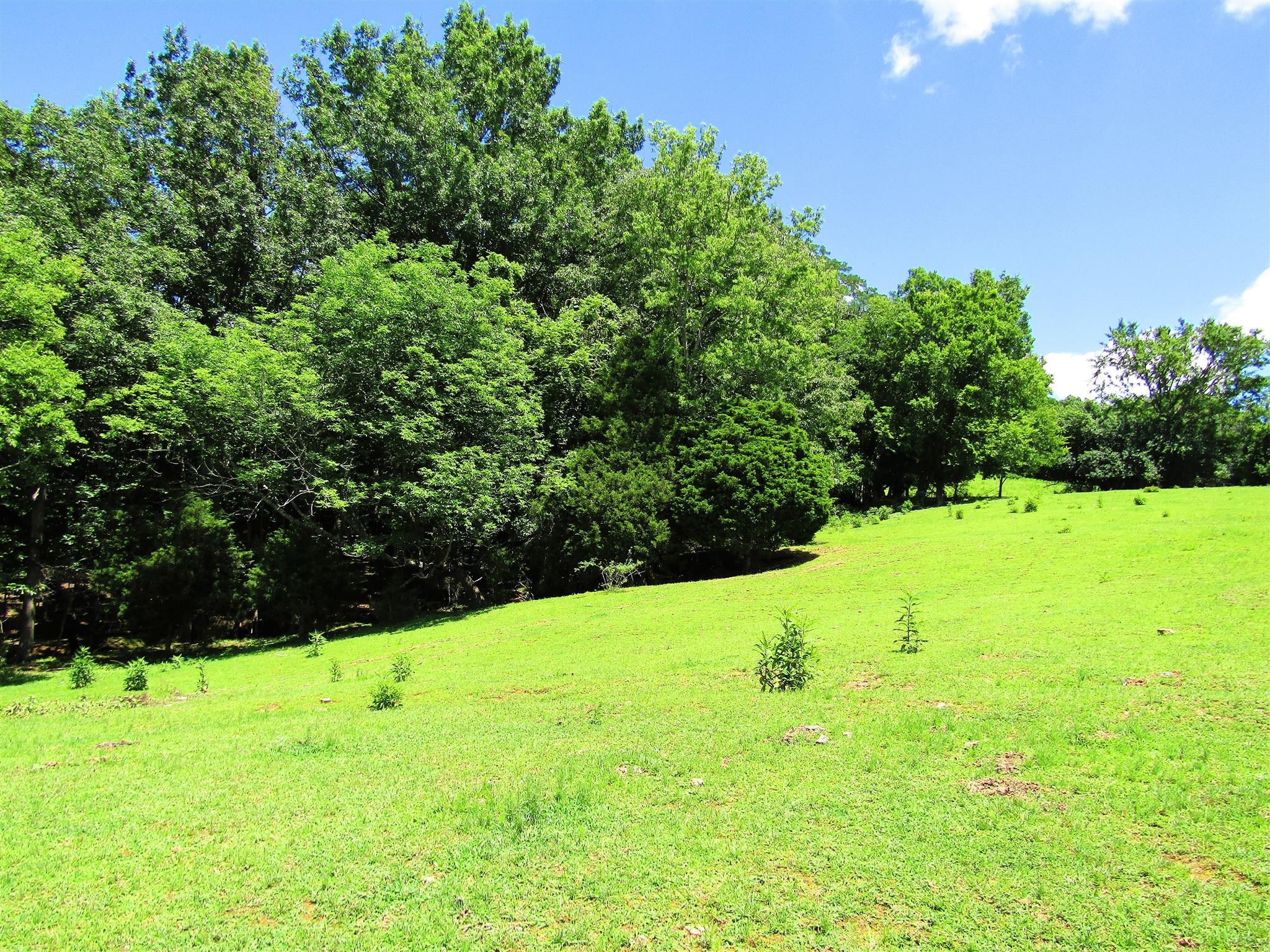 0 Old State Road Hampshire, TN 38461 - Photo 6 of 21 And flat terrain