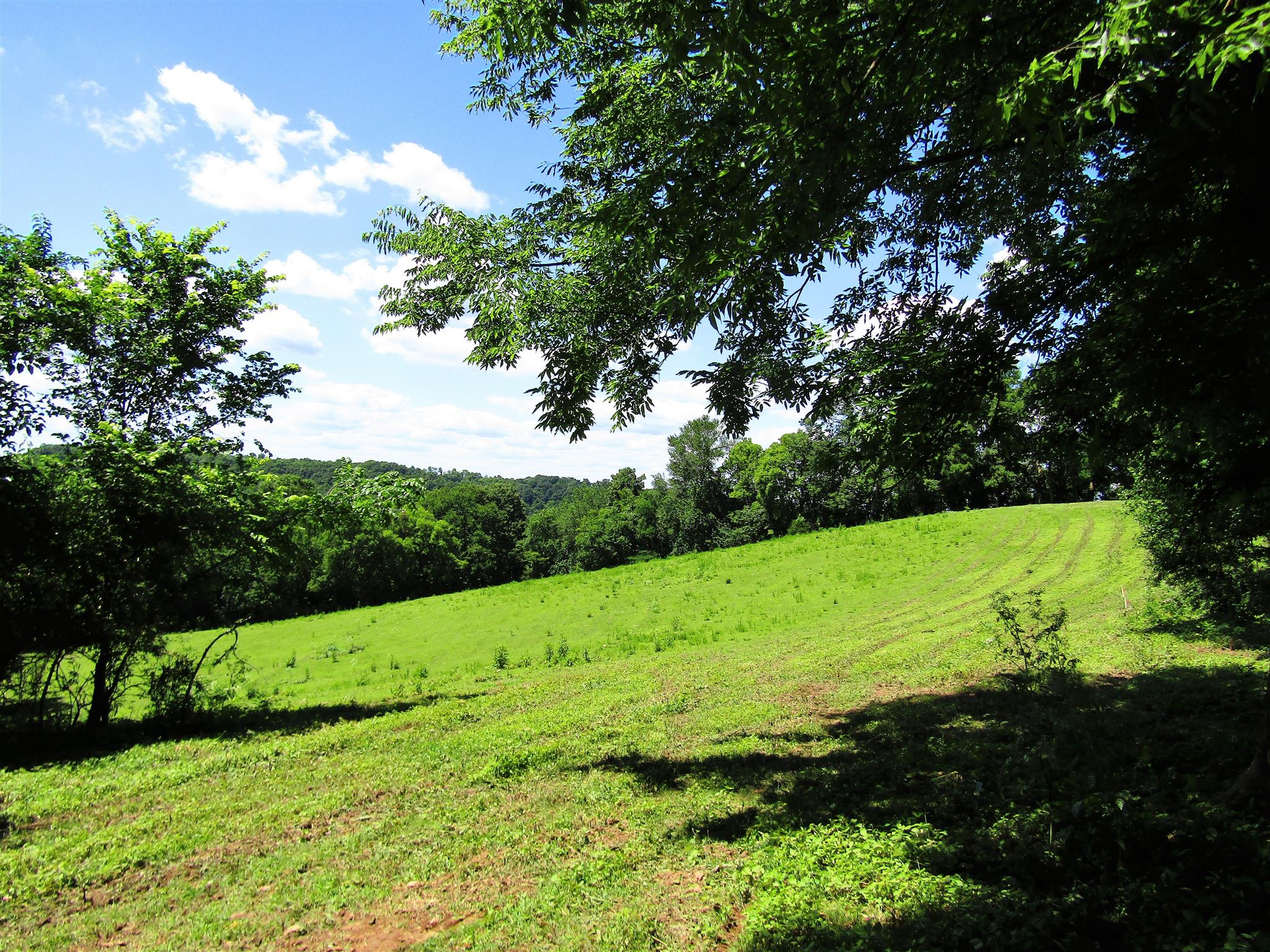 0 Old State Road Hampshire, TN 38461 - Photo 10 of 21 Gallery Image 10
