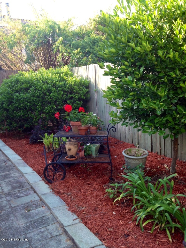3225-3227 Riverside Avenue Jacksonville, FL 32205 - Photo 28 of 33 Back Landscaping Along Fence