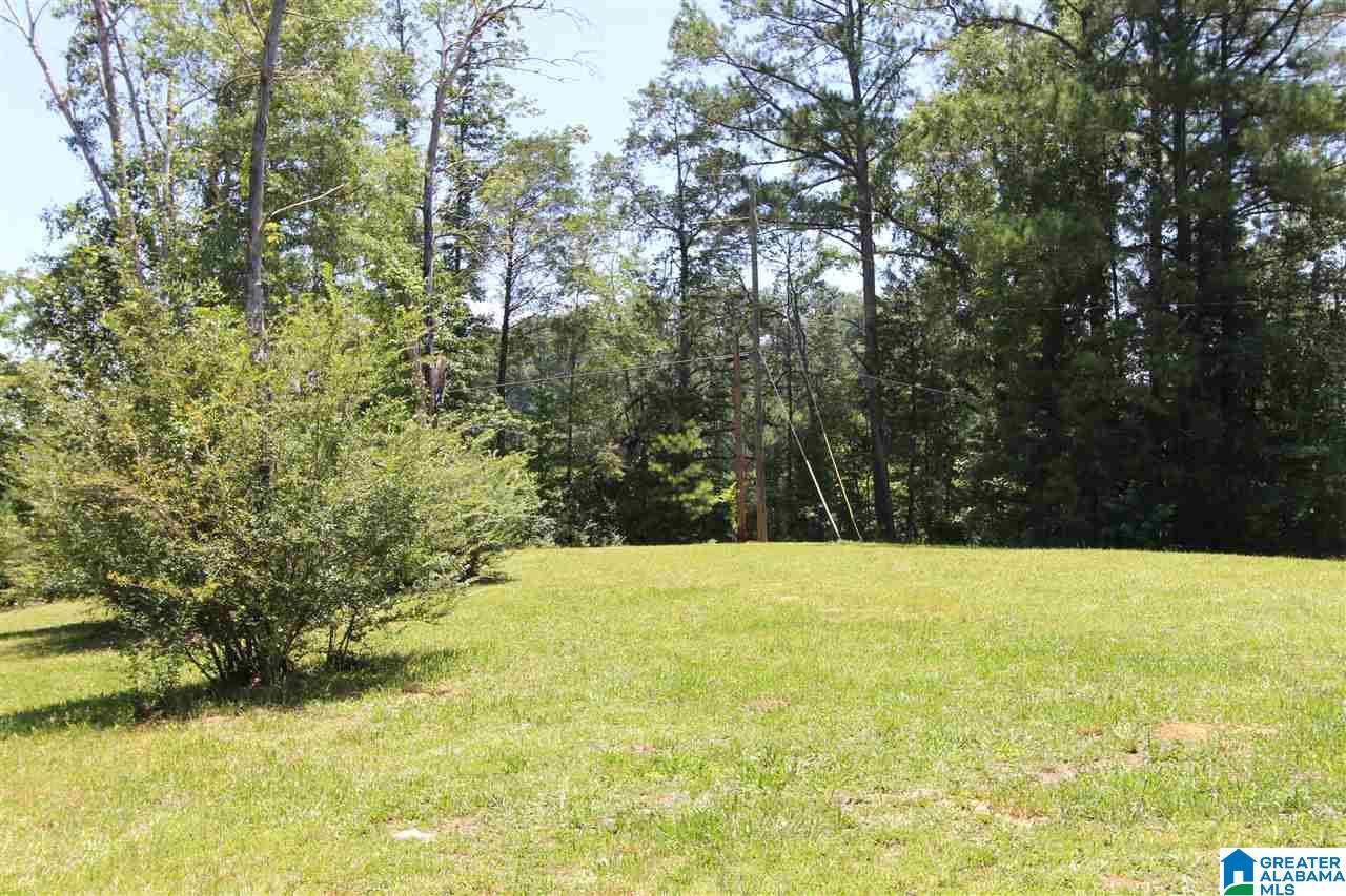 4363 Old Sulphur Springs Road Wellington, AL 36279 - Photo 37 of 37