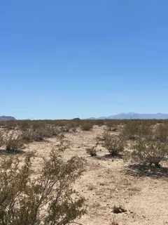 a view of city and ocean
