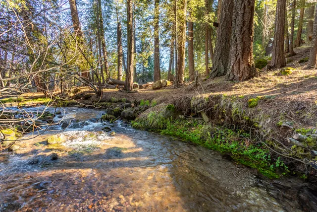 $815,000 | Undisclosed Address, Shingletown, CA 96088