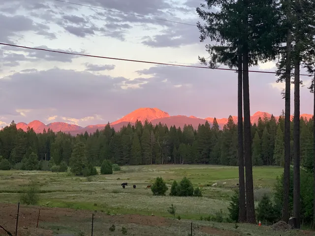 $815,000 | Undisclosed Address, Shingletown, CA 96088