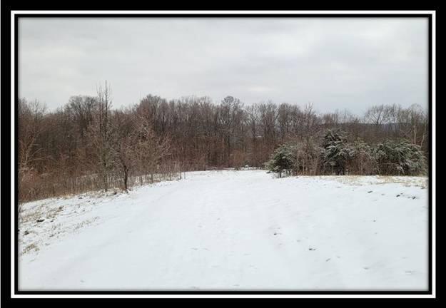 0 Number 12 Hollow Road Wellston, OH 45692 - Photo 21 of 45 image021