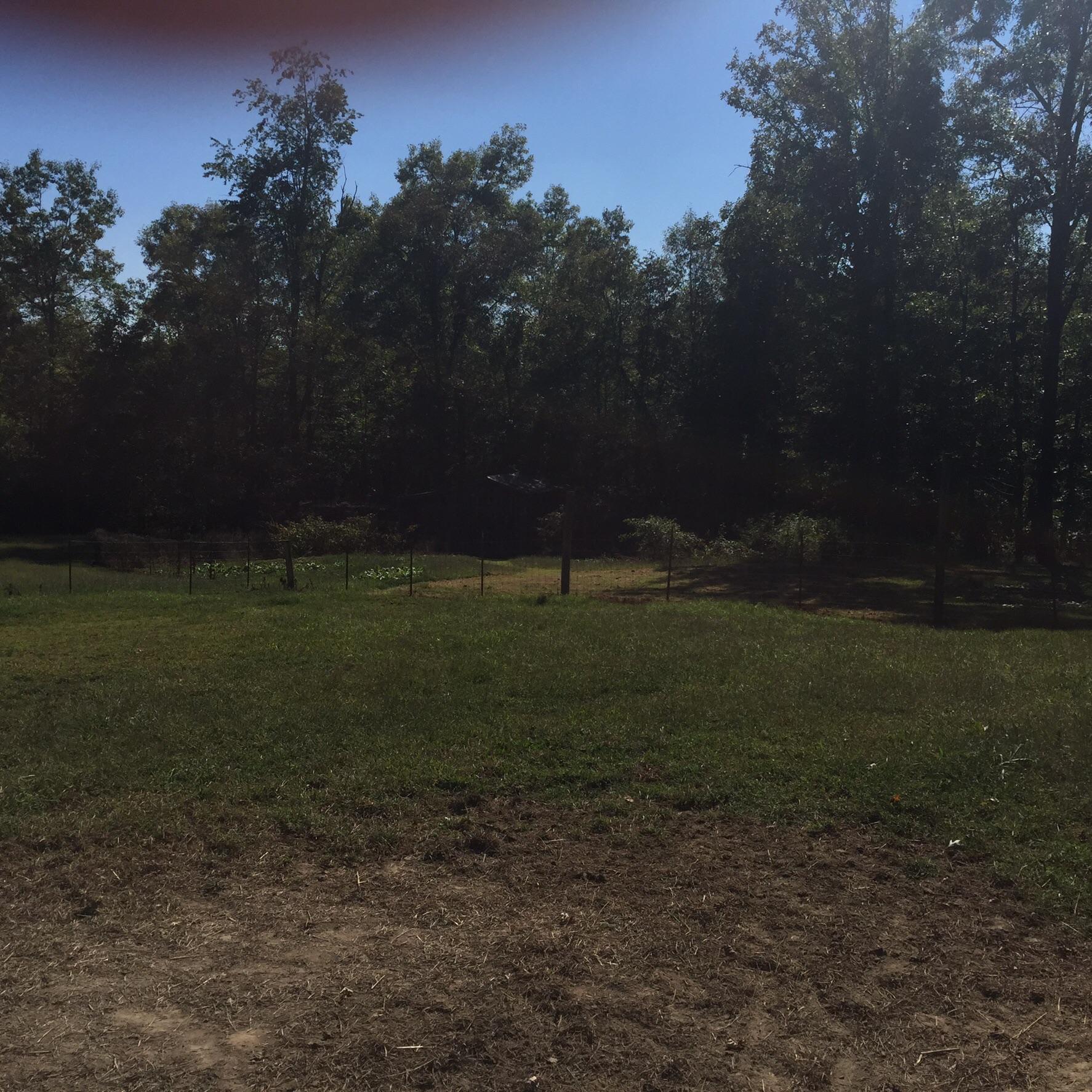 311 Rock Creek Road Deer Lodge, TN 37726 - Photo 27 of 36 image