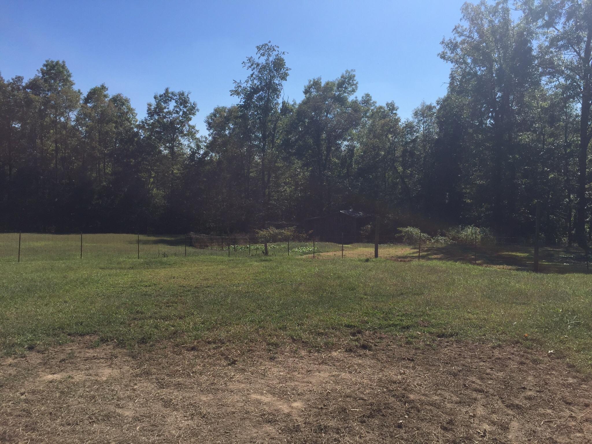 311 Rock Creek Road Deer Lodge, TN 37726 - Photo 29 of 36 image