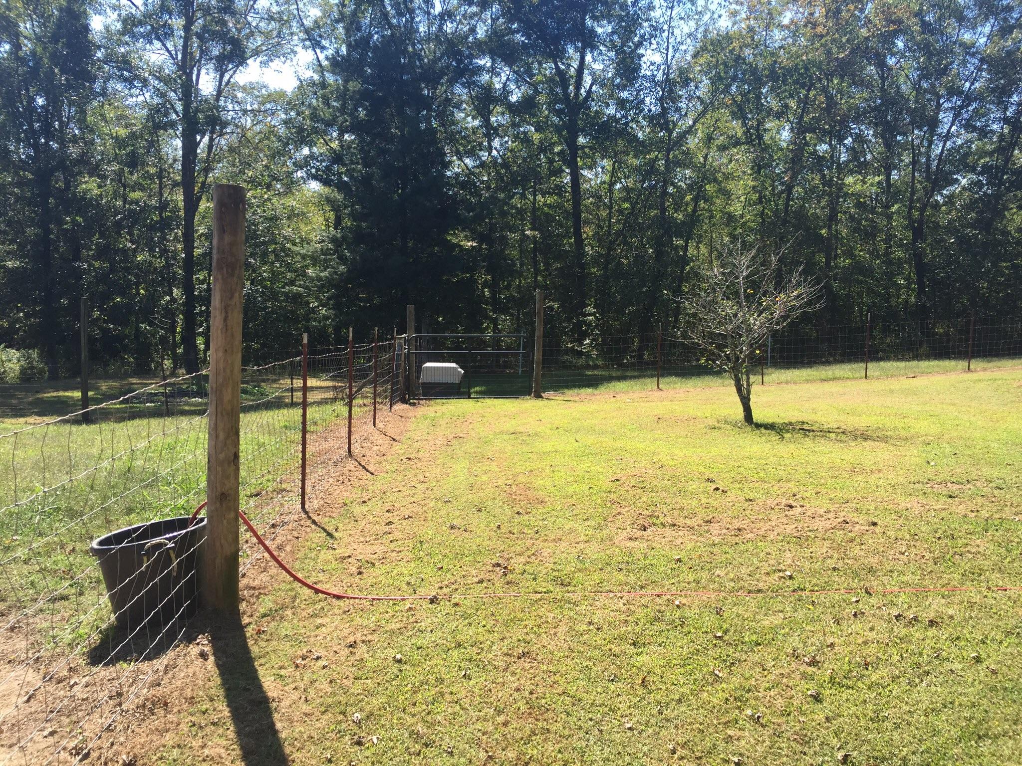 311 Rock Creek Road Deer Lodge, TN 37726 - Photo 30 of 36 image