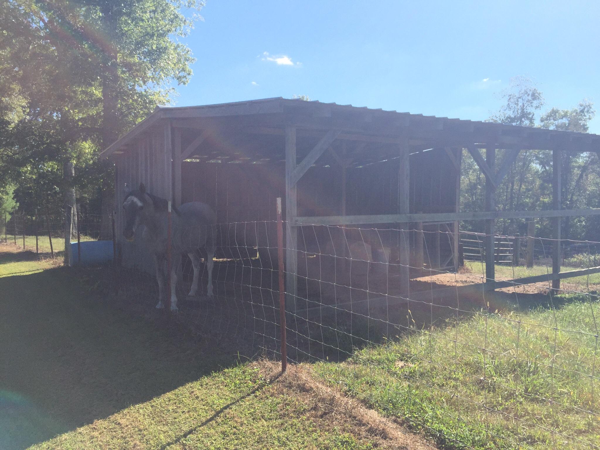 311 Rock Creek Road Deer Lodge, TN 37726 - Photo 34 of 36 image