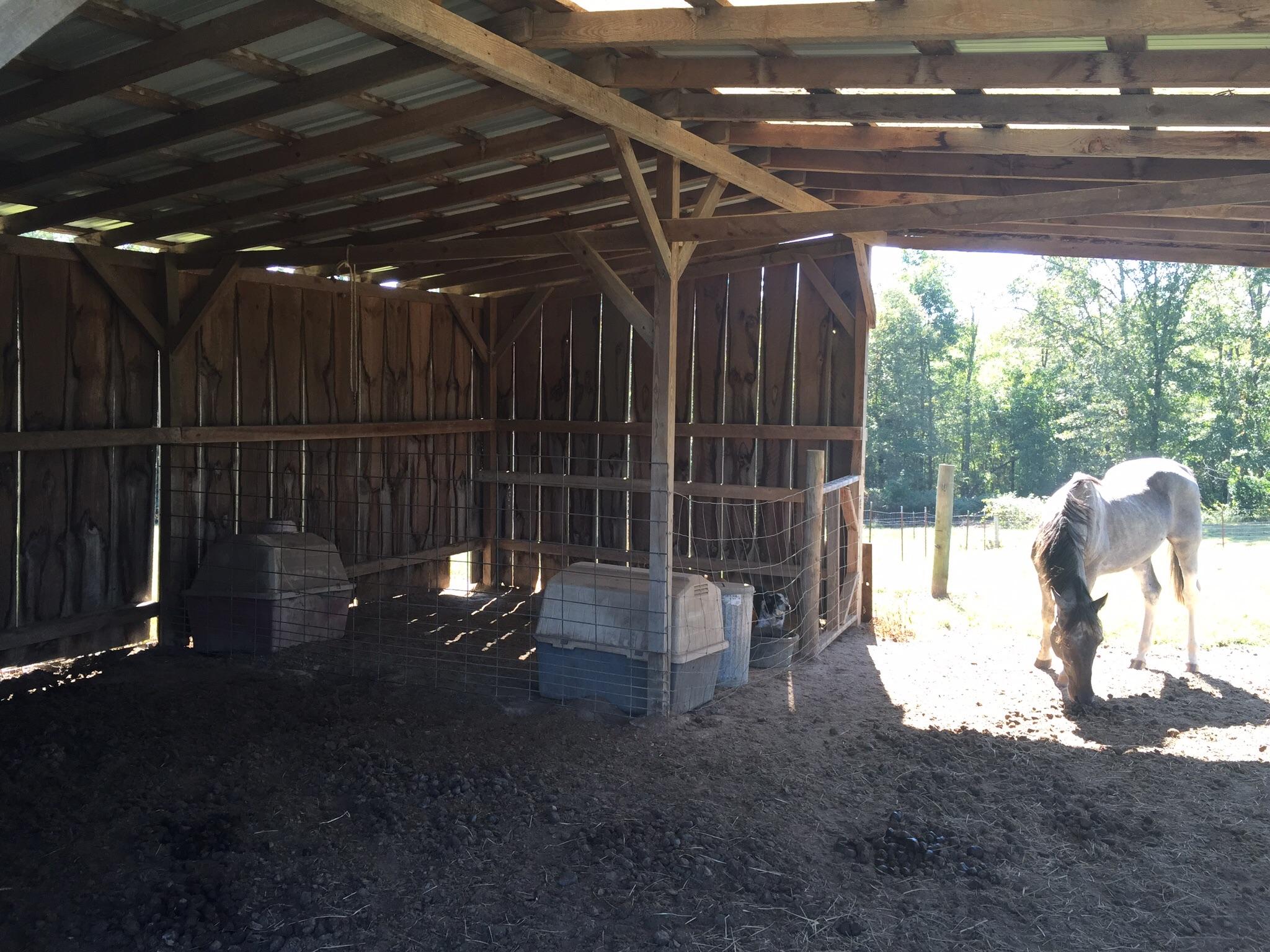 311 Rock Creek Road Deer Lodge, TN 37726 - Photo 35 of 36 image
