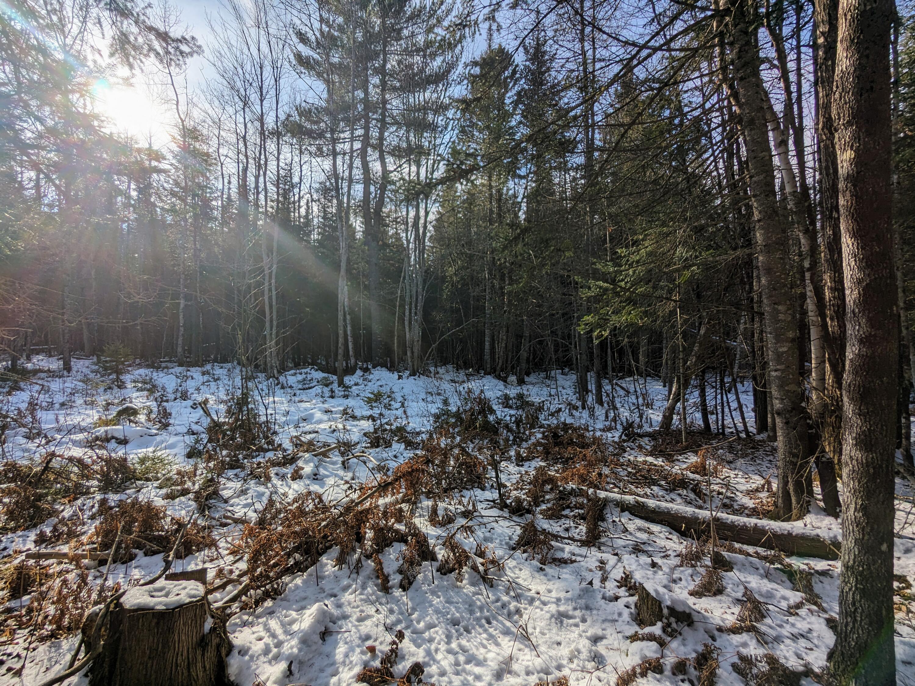 2 Map Road Stratton, ME 04982 - Photo 14 of 29 PXL_20231130_165138206