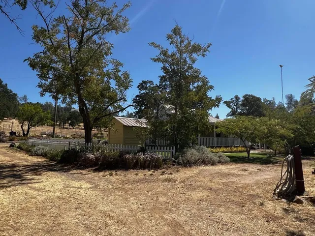a view of a town with large trees