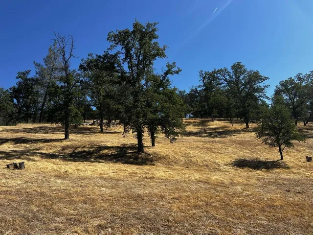 a living room with a couch and a stove