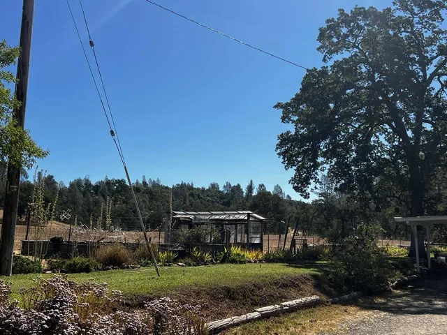 a view of outdoor space with green field and trees