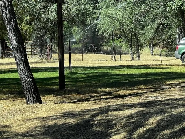 a close up of a flower in a garden