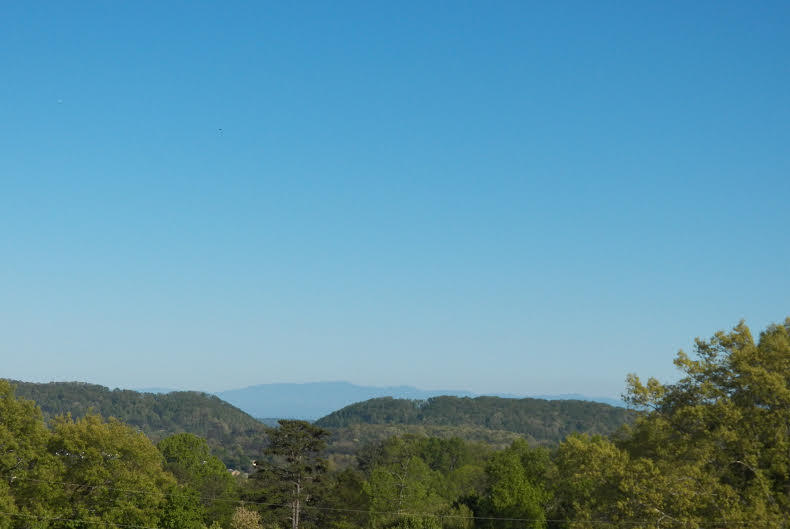 6306 Ricky Allen Road Corryton, TN 37721 - Photo 26 of 26 Ricky 26