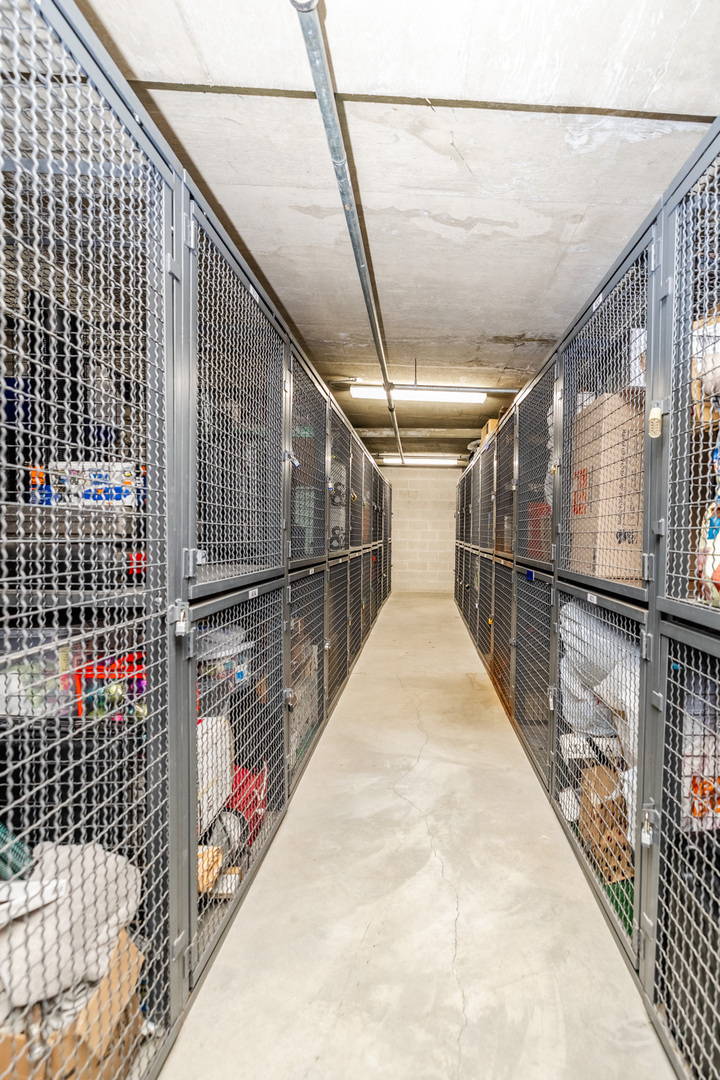 111 South Morgan Street, Unit 423 Chicago, IL 60607 - Photo 30 of 44