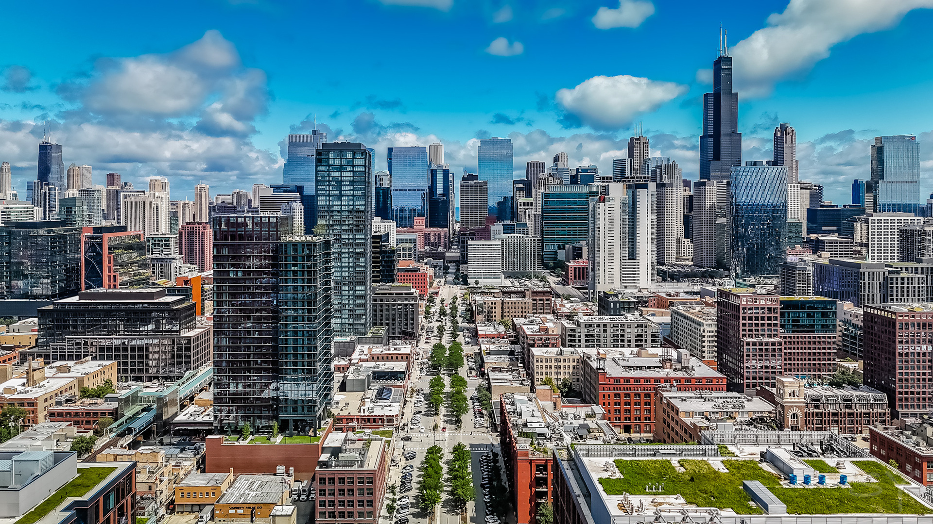 111 South Morgan Street, Unit 423 Chicago, IL 60607 - Photo 42 of 44