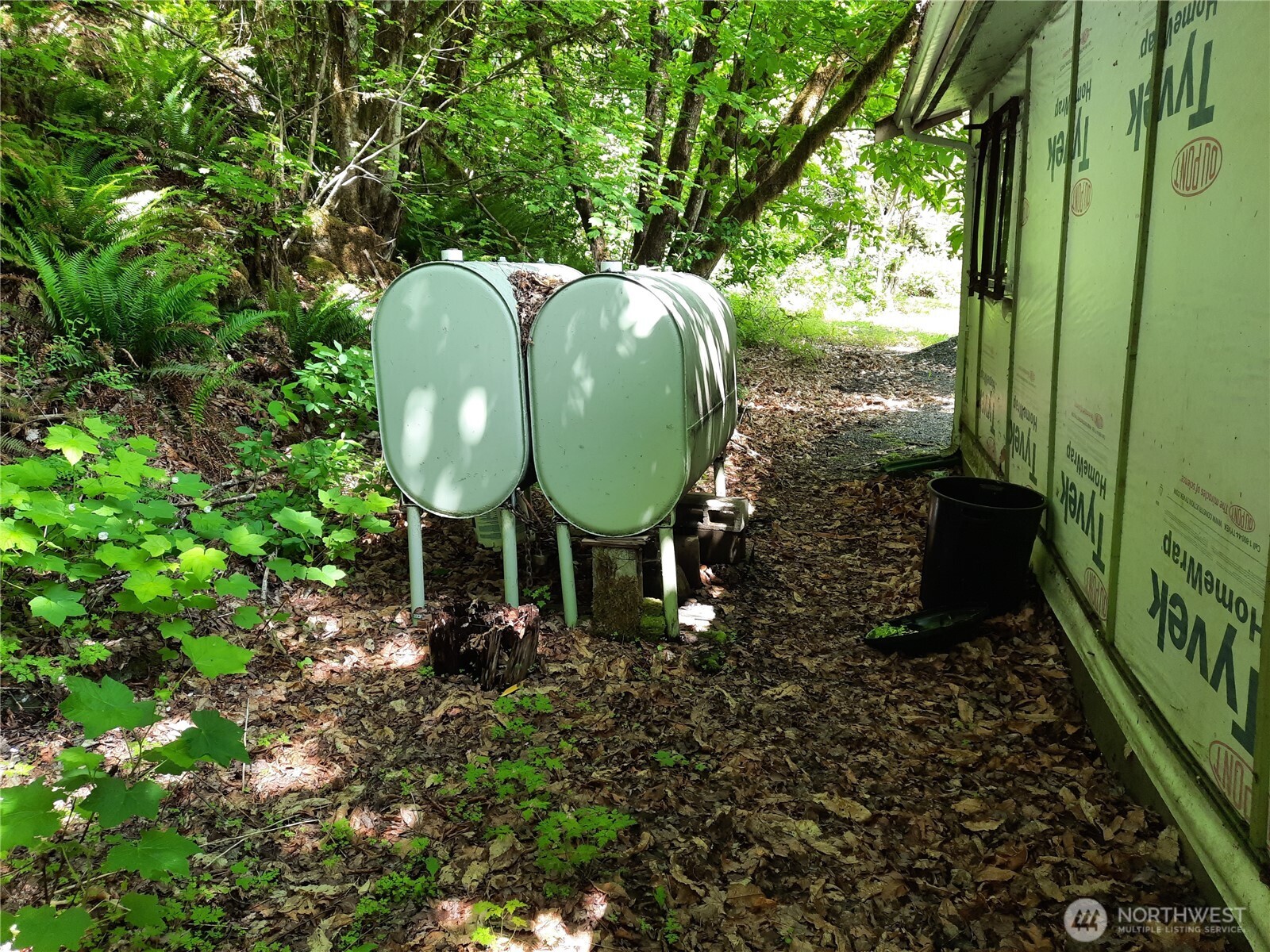 57255 State Rte 20 Rockport, WA 98283 - Photo 23 of 33 a view of a garden with plants and large trees