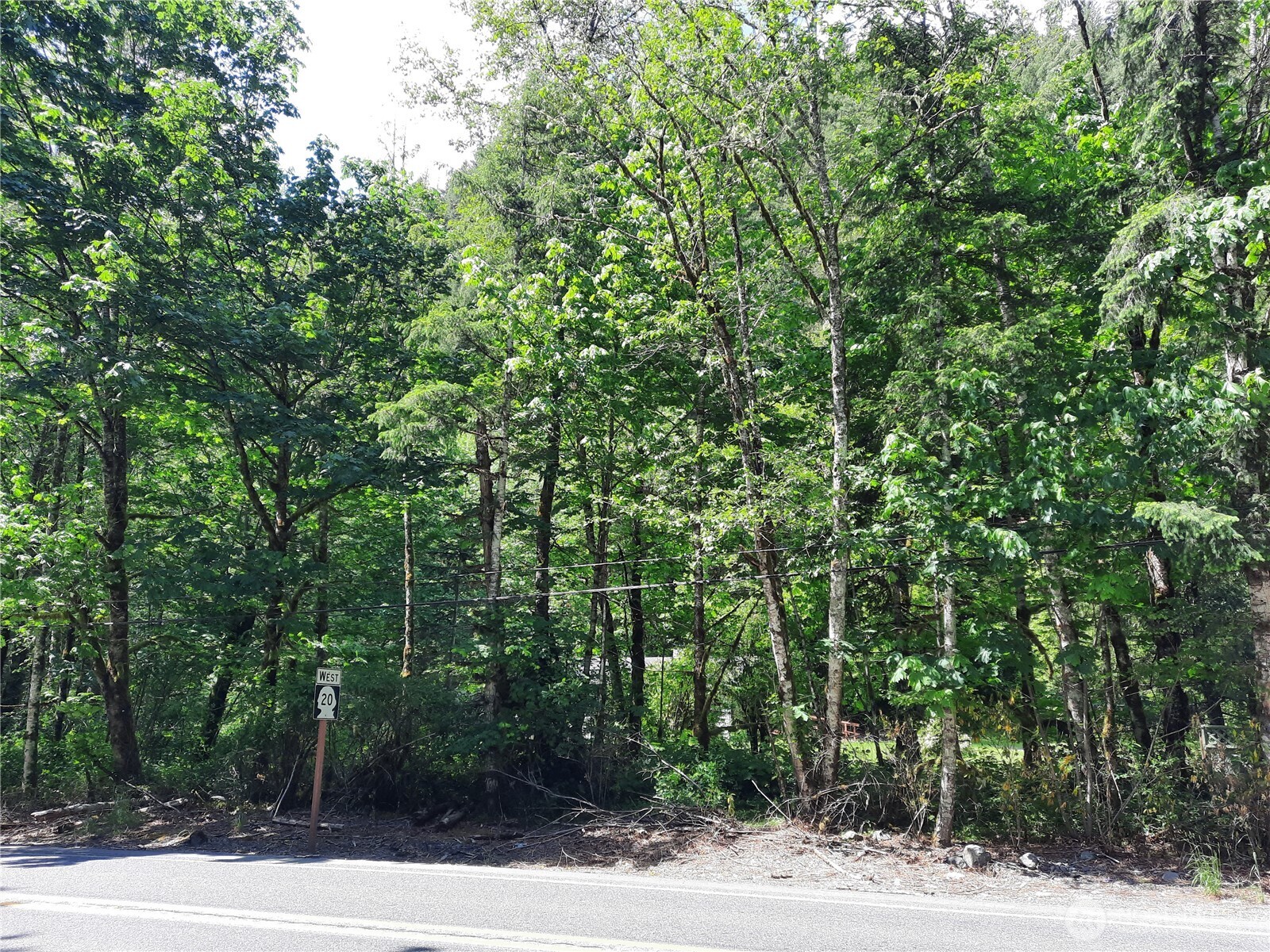 57255 State Rte 20 Rockport, WA 98283 - Photo 30 of 33 a view of a forest with a tree