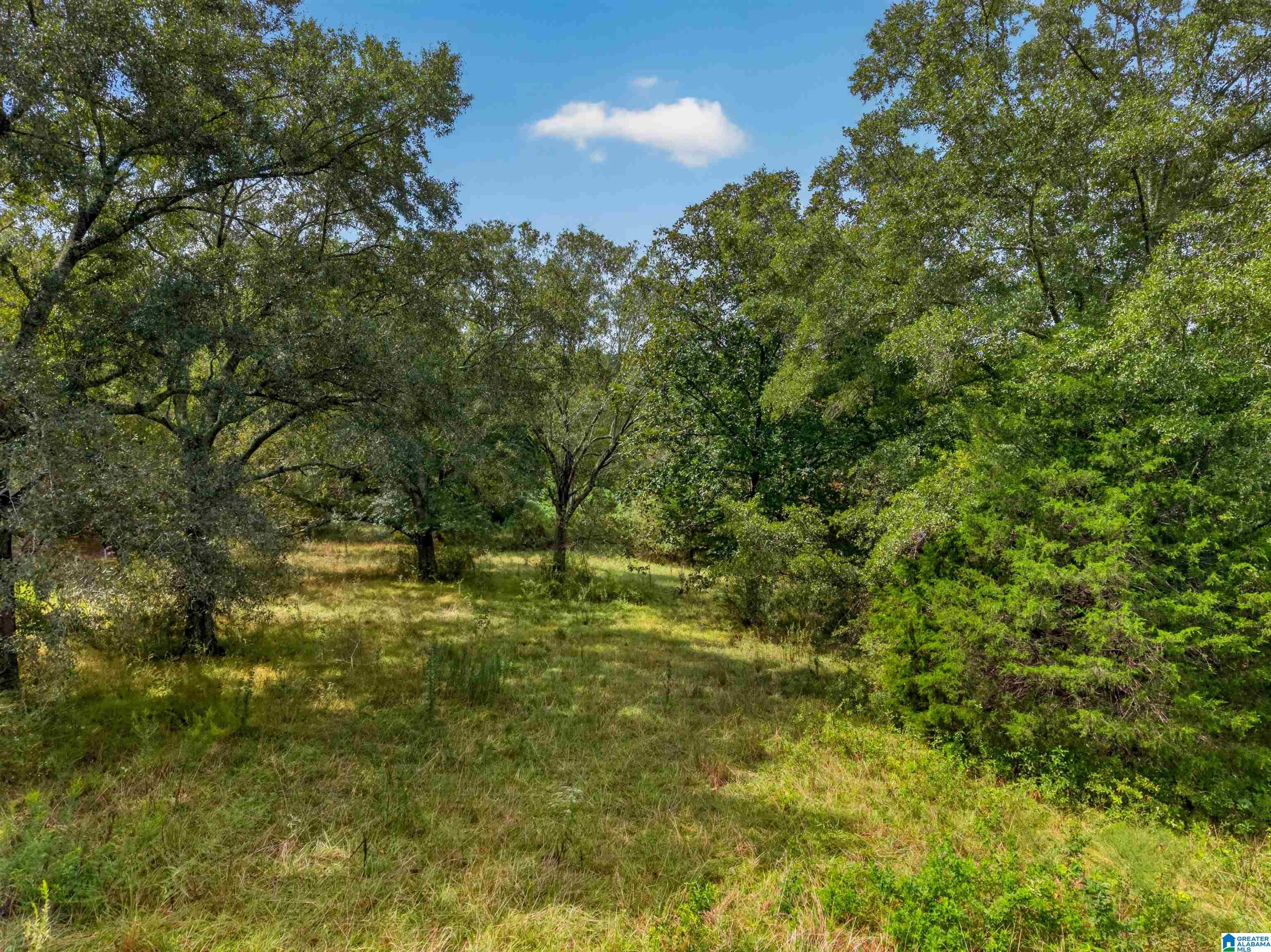 1833 Providence Road East Ragland, AL 35131 - Photo 63 of 67 Gallery Image 63