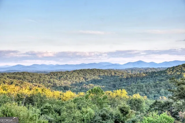 $2,390,000 | 100 Haven Lane, Unit 5, Blue Ridge, GA 30513