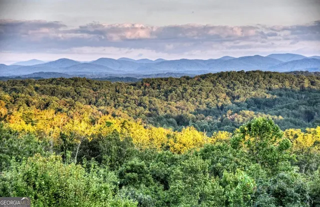 $2,390,000 | 100 Haven Lane, Unit 5, Blue Ridge, GA 30513