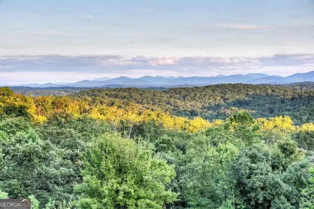 $2,390,000 | 100 Haven Lane, Unit 5, Blue Ridge, GA 30513