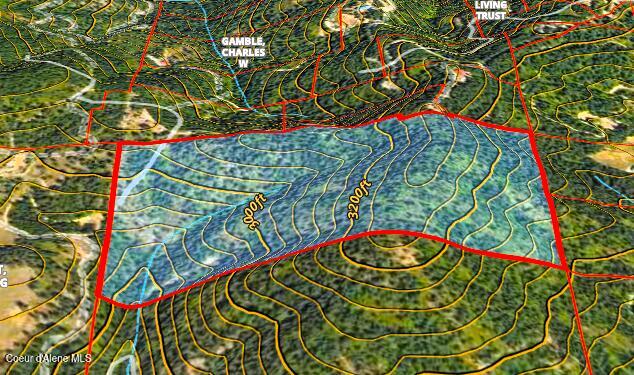 Nka Ridgeview Drive St. Maries, ID 83861 - Photo 11 of 11 Topo 80 acres