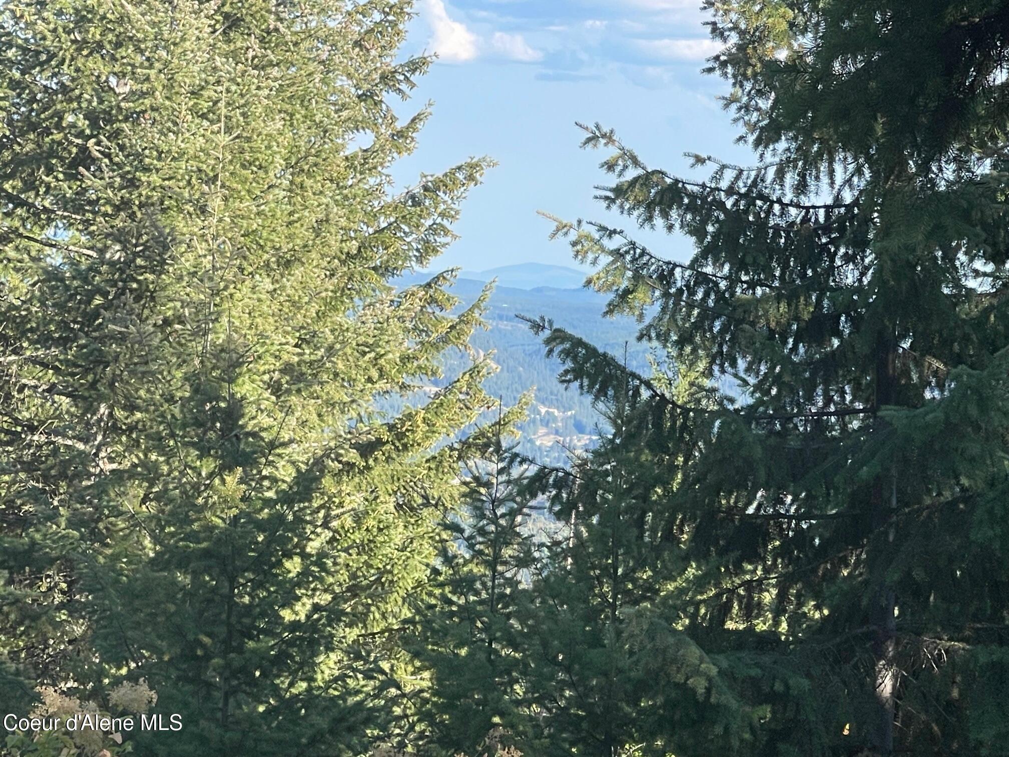 Nka Ridgeview Drive St. Maries, ID 83861 - Photo 6 of 11 IMG_5195