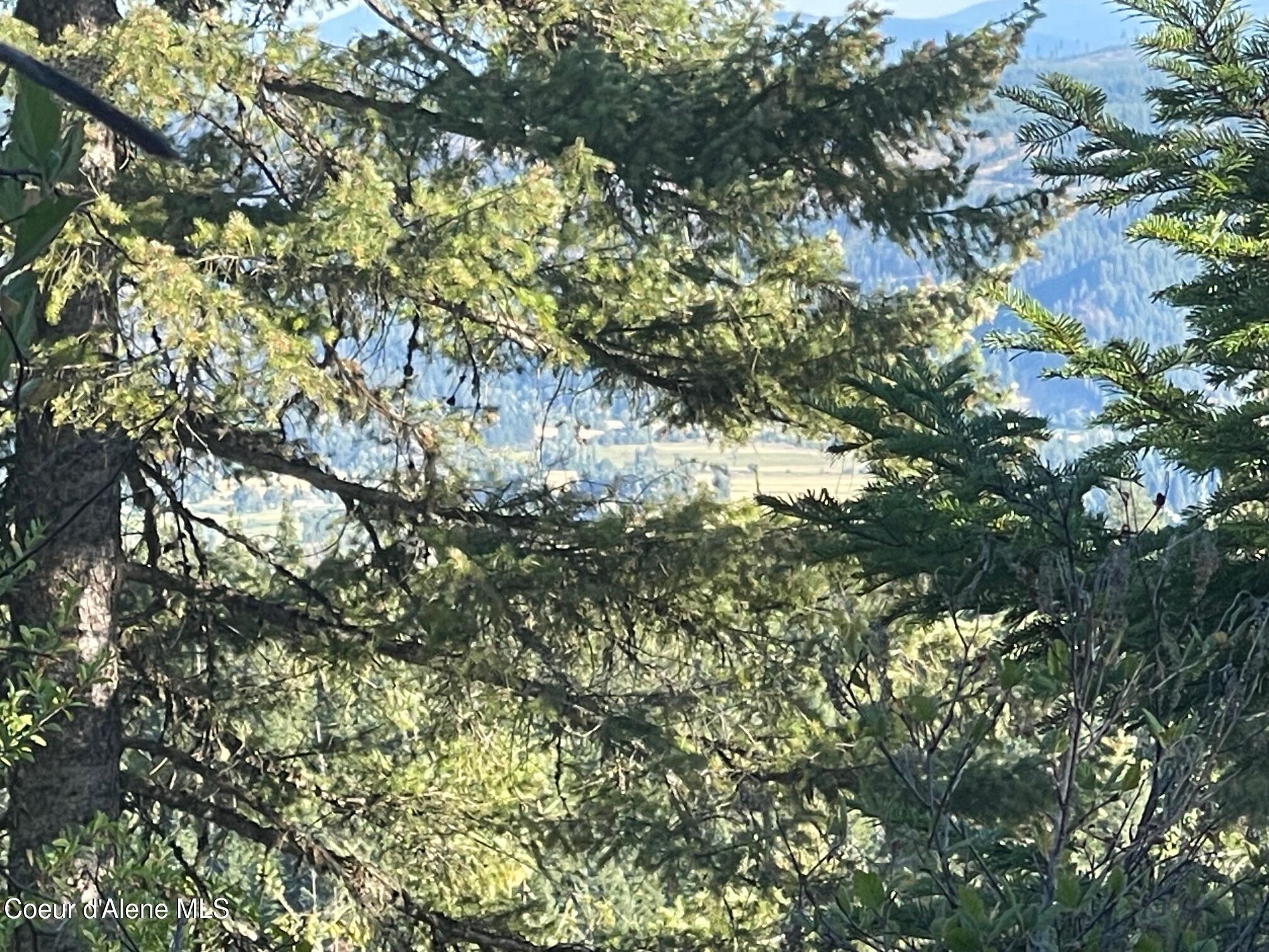 Nka Ridgeview Drive St. Maries, ID 83861 - Photo 7 of 11 IMG_5197