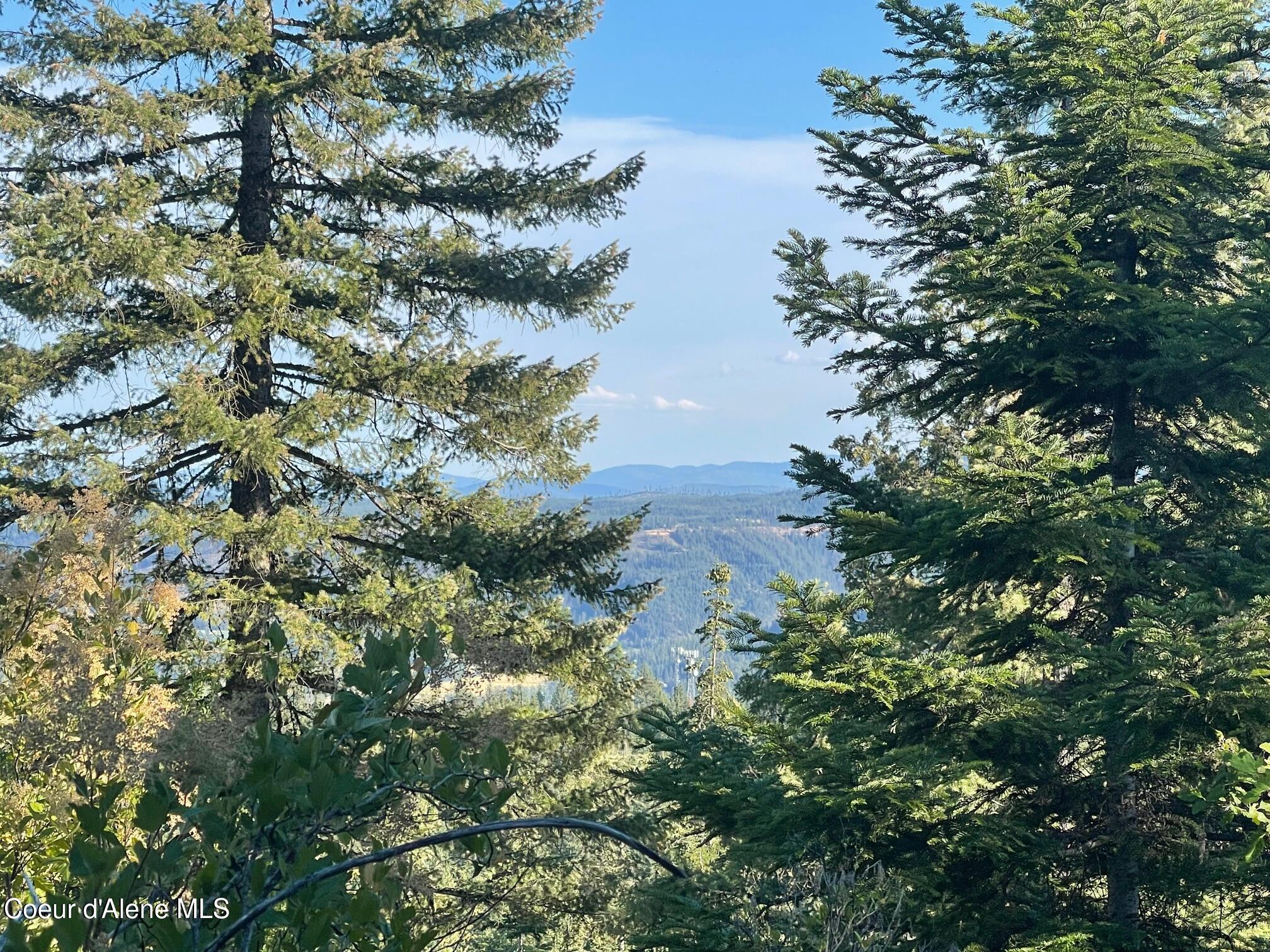 Nka Ridgeview Drive St. Maries, ID 83861 - Photo 8 of 11 IMG_5199